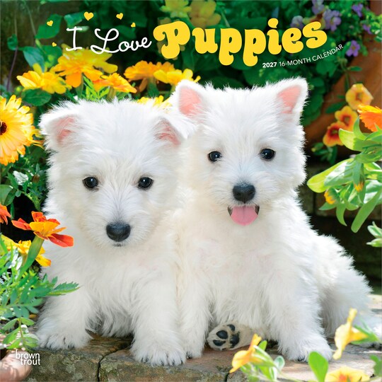 BrownTrout; I Love Puppies | 2027 12 x 24 Inch (Hanging) Monthly Square Wall Calendar | Plastic-Free; Category:Wall Calendars; Image:1